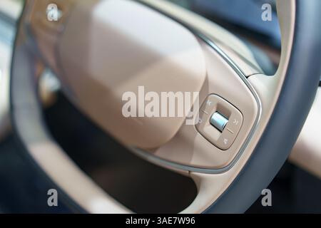 gros plan capturant les commandes avancées au volant dans un habitacle de voiture électrique élégant, mettant l'accent sur le design moderne et la technologie conviviale Banque D'Images