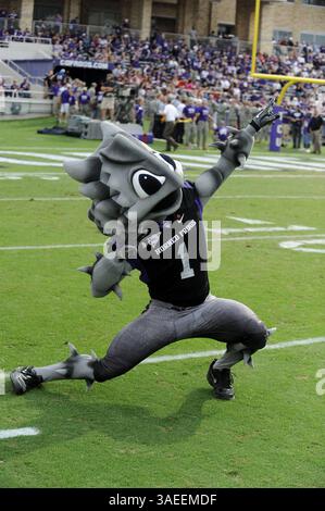 19 novembre 2011 : TCU Horned Frogs Super Frog pendant le match entre les Rams de l'Université d'État du Colorado et les Horned Frogs de l'Université chrétienne du Texas au stade Amon G. carter à Fort Worth, Texas. TCU gagne contre Colorado State, 34-10.(image crédit : © Patrick Green/Cal Sport Media/ZUMAPRESS.com) Banque D'Images