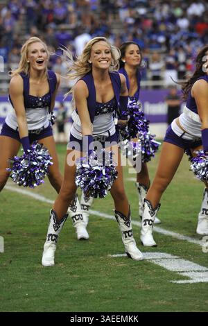 19 novembre 2011 : TCU Horned Frogs Show Girls pendant le match entre les Rams de l'Université d'État du Colorado et les Horned Frogs de l'Université chrétienne du Texas au stade Amon G. carter à Fort Worth, Texas. TCU gagne contre Colorado State, 34-10.(image crédit : © Patrick Green/Cal Sport Media/ZUMAPRESS.com) Banque D'Images