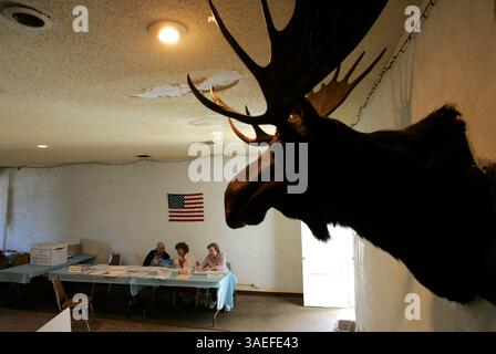 3 juin 2008, Oceanside, Californie, États-Unis au bureau de vote de Moose Lodge sur la North Coast Highway, une tête d'orignal suspendue au mur semble surveiller l'endroit  (crédit image : San Diego Union-Tribune/ZUMAPRESS.com) Banque D'Images