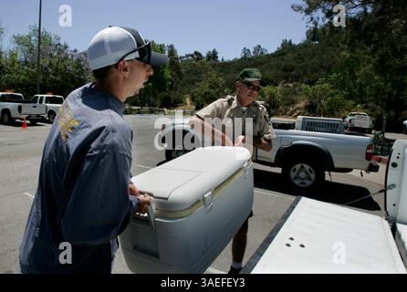 13 juin 2008, Escondido, California California Fish and Game Environmental Scientist QUINN GRANFORS, à gauche, et le superviseur du garde forestier de la ville d'Escondido JIM DAYBERRY, à droite, portent une glacière contenant ''Dottie'', la basse record du monde qui est morte au lac Dixon à Escondido et a été stockée dans le congélateur du bureau du parc, afin qu'elle puisse être étudiée au bureau California Fish and Game à Winchester, en Californie.  (image : San Diego Union-Tribune/ZUMAPRESS.com) Banque D'Images