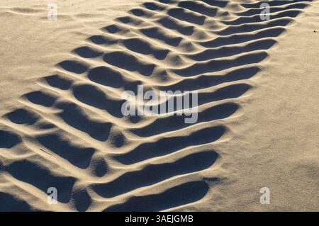 Gros plan des traces de pneus formant un motif ondulé sur une surface sablonneuse, éclairée par la lumière du soleil Banque D'Images