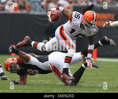 11 septembre 2011 - Cleveland, OH, États-Unis - Cincinnati Bengals Jonathan Fanene, en bas, monte Joshua Cribbs des Cleveland Browns pour un troisième quart-temps. Les Bengals de Cincinnati battent les Browns de Cleveland, 27 à 17, au Cleveland Browns Stadium de Cleveland, Ohio, le dimanche 11 septembre 2011. (Crédit image : © Phil Masturzo/Akron Beacon Journal/MCT/ZUMAPRESS.com) Banque D'Images