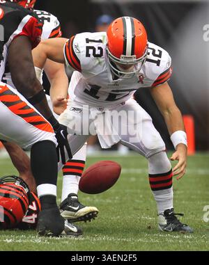 11 septembre 2011 - Cleveland, OH, États-Unis - Colt McCoy, quarterback des Browns de Cleveland, est dépouillé de la balle au quatrième quart-temps. Les Bengals de Cincinnati battent les Browns de Cleveland, 27 à 17, au Cleveland Browns Stadium de Cleveland, Ohio, le dimanche 11 septembre 2011. (Crédit image : © Phil Masturzo/Akron Beacon Journal/MCT/ZUMAPRESS.com) Banque D'Images