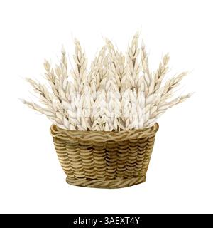 Oreilles de bouquet de blé dans le panier en osier brun vintage illustration isolée de l'aquarelle. Récolte d'automne clipart dessiné à la main pour les dessins juifs Shavuot Banque D'Images