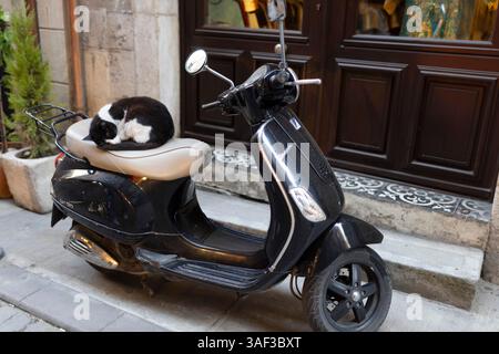 Istanbul, Turquie, le 2 mai 2024, Un chat noir et blanc dormait sur le siège beige d'un scooter Vespa noir garé dans une rue Banque D'Images