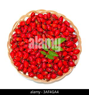 Rosehips dans un panier sur un fond blanc Banque D'Images