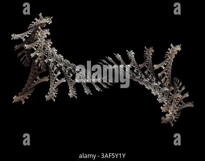 Créature sauvage Banque D'Images