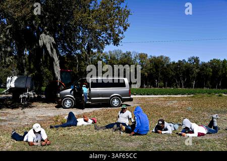 18 février 2015 - Plant City, Floride, États-Unis - EVE EDELHEIT | Times. Maria Zuâ€“iga et d’autres travailleurs se détendent pendant leur pause déjeuner à côté du champ de fraises à Plant City le 18 février 2015. (Crédit image : © Eve Edelheit/Tampa Bay Times/ZUMA Wire) Banque D'Images