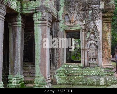 Sculptures en pierre recouvertes de mousse sur un mur de bâtiment au complexe du temple Ta Prohm Tomb Raider. Site historique d'Angkor Wat, Siem Reap, Cambodge Banque D'Images