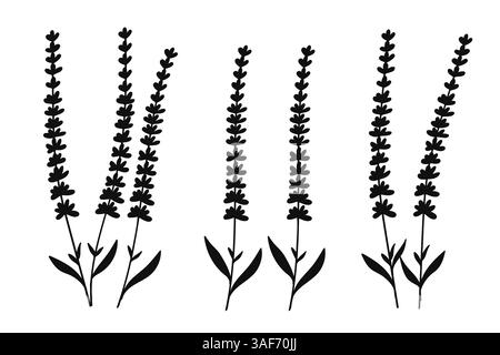 Silhouette Lavande illustration florale. Cette œuvre d'art botanique présente des éléments floraux simples mais élégants, parfaits pour une utilisation dans les motifs, les papiers peints, t Illustration de Vecteur