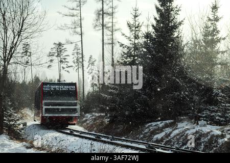 La photo montre un téléphérique passant à travers une forêt enneigée pendant l'hiver. Les arbres sont couverts de neige et l'atmosphère est légèrement brumeuse. Banque D'Images