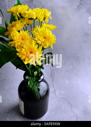 Fleurs de chrysanthème jaune vif dans le vase en verre brun foncé, objet de nature morte ou accessoire de décoration pour la décoration de la maison, le design d'intérieur Banque D'Images