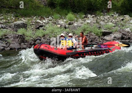 SP 125504 - - LIVRAISON À : flo - - 6/29/2001 - - Salmon River, Idaho - - INFORMATION LÉGENDE : pic no. 1 : rafting sur la rivière Salmon, au milieu de l'Idaho. John McLain utilise les rames pour prendre un radeau dans les rapides de classe III le long de la rivière Salmon. McLain cet été a également guidé sur le fleuve Colorado à travers le Grand Canyon. - - Times photo par : reporter/Robert Jenkins - - histoire par : - - SCANNÉ PAR : - - DATE D'EXÉCUTION : (Credit image : St Petersburg Times/ZUMAPRESS.com) Banque D'Images