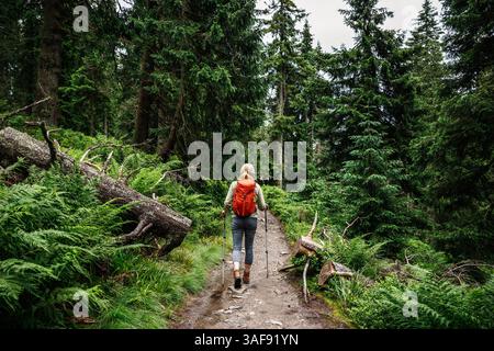 Femme randonneur avec sac à dos et bâtons de randonnée marche sur le sentier de trekking dans la forêt. Sport mode de vie actif Banque D'Images