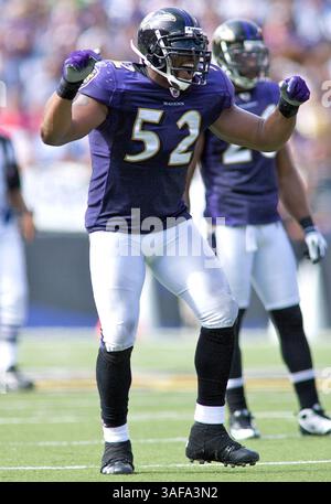 27 septembre 2009 : Baltimore Ravens Ray Lewis #52 lors du match des Baltimore Ravens vs Cleveland Browns au M&T Bank Stadium à Baltimore, Maryland dans lequel les Ravens ont gagné 34-3 pour aller 3-0 dans la saison 2009 (crédit image : SGM/ZUMAPRESS.com) Banque D'Images