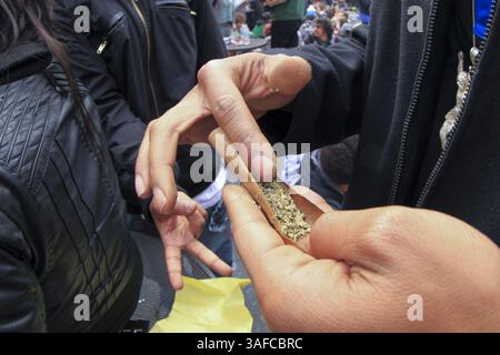 Le 20 avril 2012 - Toronto, Toronto, Ontario - Un homme roule un joint avec plusieurs centaines de fans de culture du cannabis au Yonge Dundas Square au centre-ville de Toronto pour une ''hash mob'' géante qui s'allume à 16h20 le 20e jour du 4e mois. Eux et beaucoup partout en Amérique du Nord ont célébré la journée en se faisant entendre en public, plaidant pour la légalisation de la marijuana. (Image de crédit : © Christopher Drost/SHIFT digital/ZUMAPRESS.com) Banque D'Images
