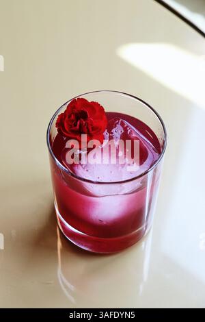 Élégant cocktail rouge servi dans un verre transparent avec un grand glaçon et garni d'une fleur d'œillet rouge vif. Banque D'Images