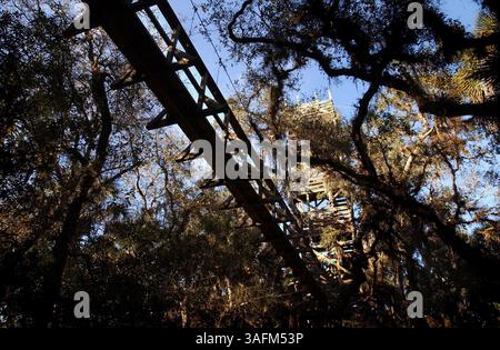 3/7 - le Myakka Canopy Walkway au Myakka River State Park à Sarasota. Le Myakka Canopy Walkway est une longue promenade surélevée à travers la cime des arbres. Il est à environ 25 pieds du sol et 85 pieds de long. (Crédit image : St Petersburg Times/ZUMAPRESS.com) Banque D'Images