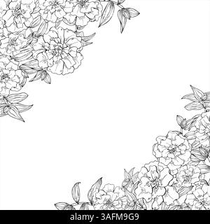 Têtes de fleurs de Marigold, tradescantia laisse un cadre carré de vecteur d'art de ligne avec un espace vide pour le texte. Fleurs florissantes croquis à l'encre noire. Bordure florale Illustration de Vecteur