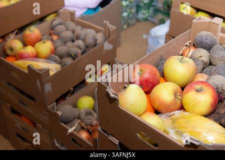 Légumes biologiques écologiques naturels dans des boîtes en carton au magasin de récolte agricole. Divers fruits et légumes bio fraîchement récoltés, betteraves, pommes, bananes, oignons. Photo de haute qualité Banque D'Images