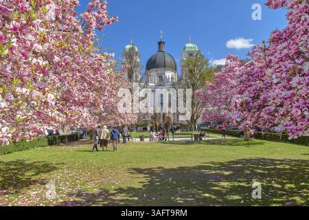 Makartplatz avec l'église de la Trinité pendant la floraison de magnolia, ciel bleu, printemps, ville de Salzbourg, Salzbourg, Autriche, Europe Banque D'Images