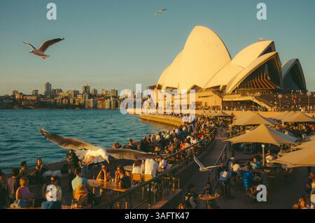 Opéra de Sydney L'un des bâtiments les plus emblématiques d'Australie, situé sur la rive du port de Sydney. des foules de gens qui apprécient un verre à l'extérieur. Banque D'Images
