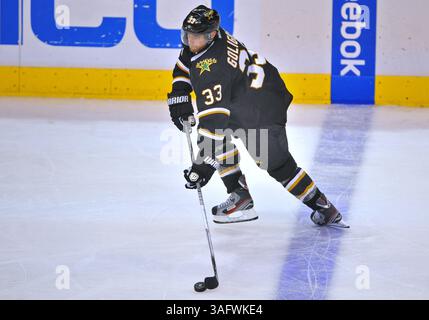 22 mars 2012 . Alex Goligoski (33), défenseur des Stars de Dallas, en action avec Puck. Lors d'un match entre les Canucks de Vancouver et les Stars de Dallas au American Airlines Center de Dallas, Texas. Les Canucks gagnent 2-1 (crédit image : © Manny Flores/Cal Sport Media/ZUMAPRESS.com) Banque D'Images