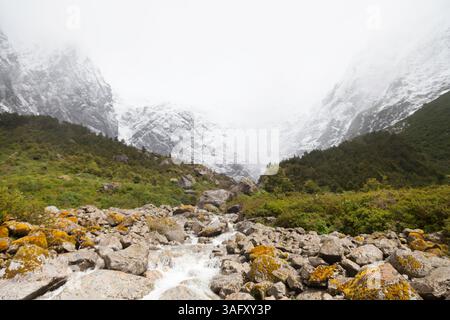 Paysage de Patagonie dynamique : ruisseau serein et au milieu de rochers avec de la mousse de couleur rouille. Les teintes chaudes contrastent avec une végétation luxuriante et des eaux cristallines, c Banque D'Images