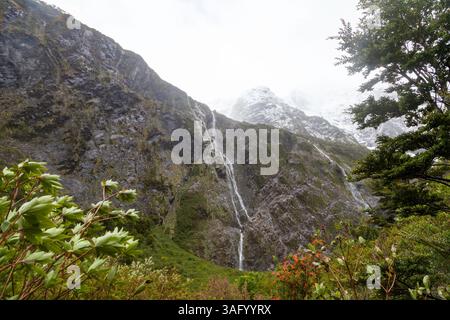 Paysage de Patagonie dynamique : ruisseau serein et cascade au milieu des rochers avec de la mousse de couleur rouille. Des teintes chaudes contrastent avec une végétation luxuriante et un Wate limpide Banque D'Images