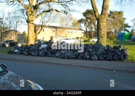 Vardon Way, Kings Norton, Birmingham, 8 avril 2025 : le conseil municipal de Birmingham a enlevé 10 tonnes de déchets après que des bennes à mouches illégales ont été prises en train de jeter leurs déchets pendant la nuit. Deux camions à benne basculante, plusieurs camions-bennes et un tracteur ont été utilisés pour déblayer la pile vers 6 heures du matin mardi matin, les gens se sont rendus à Vardon Way dans la région de Kings Norton à Birmingham lundi soir pour se débarrasser de leurs déchets. Les gens sont arrivés dans des voitures et à pied pour déverser leurs déchets après que le conseil municipal de Birmingham a libéré les emplacements de leurs centres mobiles de déchets ménagers et cet emplacement a été donné pour mardi 8th A. Banque D'Images