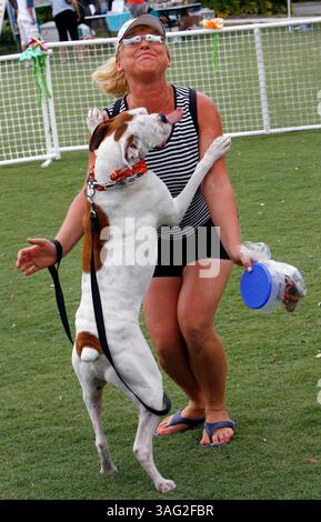 19 mai 2008 - Largo, Floride, USA - DORI KALISZCZAK de Largo, après avoir reçu un des nombreux baisers de Harley, un boxeur, lors de la compétition Best Kisses aux festivités Woofstock samedi 17 mai au largo Centraal Park. Harley et Dori ont remporté l'événement (crédit image : St Petersburg Times/ZUMAPRESS.com) Banque D'Images