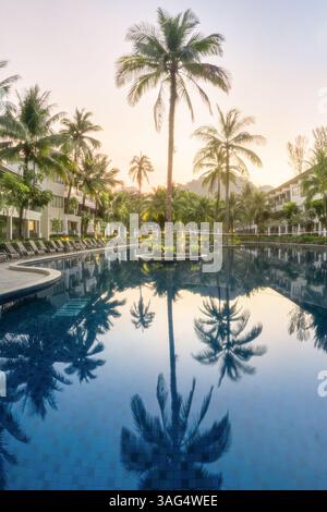 Une piscine et un grand palmier dans un hôtel de luxe photo sous les tropiques. Fauteuils, parasols et la mer sont tout ce dont vous avez besoin pour les meilleures vacances à Thaila Banque D'Images