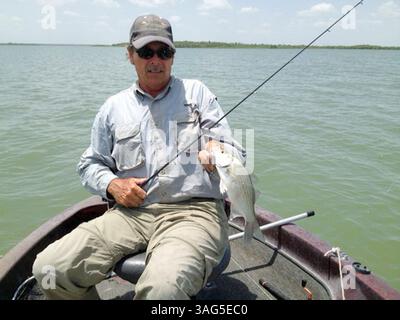 25 juillet 2012 - Austin, TX, USA - Tommy Tidwell, vétéran Granger Lake, guide tient une grosse basse blanche qu'il a attrapée sur une cuillère en dalle lors d'un voyage d'après-midi. Tidwell dit que les blancs sont normalement faciles à trouver pendant les heures de pêche estivale. (Crédit image : © Mike Leggett/Austin American-Statesman/MCT/ZUMAPRESS.com) Banque D'Images