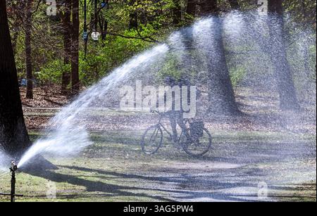 Berlin, Allemagne. 08 avril 2025. Un cycliste passe devant un système de gicleurs installé entre les arbres dans le Tiergarten. Le sol, trop sec en raison du manque de précipitations, est arrosé par le système. Crédit : Soeren Stache/dpa/Alamy Live News Banque D'Images