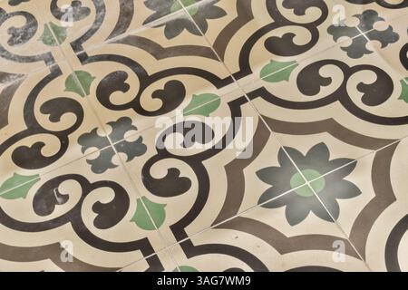 Un motif de tuiles magnifiquement complexe avec un mélange de formes organiques et de couleurs mettant en valeur l'esthétique du design vintage. Parfait pour l'inspiration de décoration intérieure. Banque D'Images