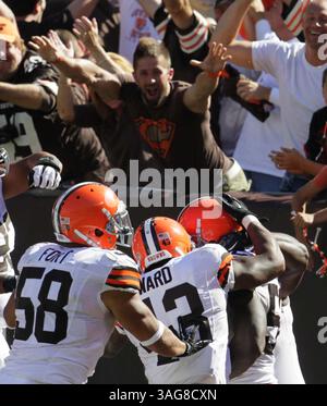 9 septembre 2012 - Cleveland, OH, États-Unis - le linebacker des Cleveland Browns D'Qwell Jackson est assailli par ses coéquipiers L.J. Fort, gauche, T.J. Ward et Christian Yount après son touchdown interception contre les Eagles de Philadelphie au quatrième quart-temps au Cleveland Browns Stadium le dimanche 9 septembre 2012 à Cleveland, Ohio. Les Eagles ont battu les Browns, 17-16. (Crédit image : © Karen Schiely/MCT/ZUMAPRESS.com) Banque D'Images