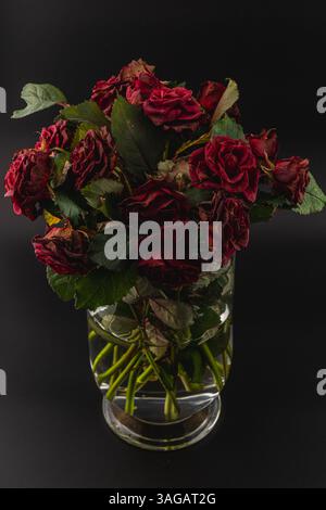 Un bouquet de roses rouges séchées se trouve dans un vase clair, mettant en valeur leurs riches teintes sur un fond sombre. Les pétales sont flétris, ajoutant une touche de nostal Banque D'Images