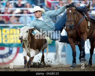 21 juin 2012 - Reno, Nevada, États-Unis - le lutteur Steer Kash Koester de Chandler, OK participe au Rodeo de Reno à Reno, Nevada, Nevada, États-Unis. (Crédit image : © Matt Cohen/ZUMAPRESS.com) Banque D'Images