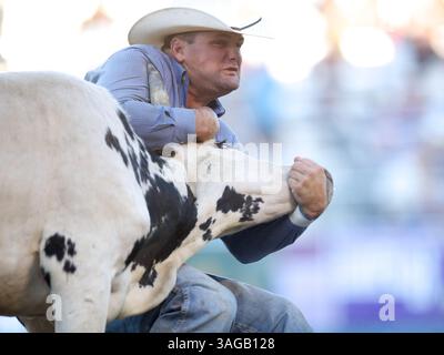 21 juin 2012 - Reno, Nevada, États-Unis - le lutteur Steer Ryan Swayze de Freedom, OK participe au Rodeo de Reno à Reno, NV. (Crédit image : © Matt Cohen/ZUMAPRESS.com) Banque D'Images