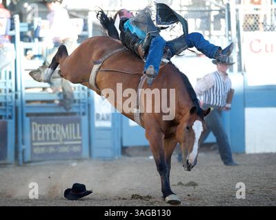 21 juin 2012 - Reno, Nevada, États-Unis - Orin Larsen, coureur Bareback de Twin Falls, ID rides Fox au Rodeo de Reno à Reno, NV. (Crédit image : © Matt Cohen/ZUMAPRESS.com) Banque D'Images