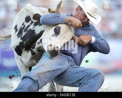 21 juin 2012 - Reno, Nevada, États-Unis - le lutteur Steer Ryan Swayze de Freedom, OK participe au Rodeo de Reno à Reno, NV. (Crédit image : © Matt Cohen/ZUMAPRESS.com) Banque D'Images