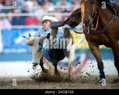 21 juin 2012 - Reno, Nevada, États-Unis - le lutteur Steer Kash Koester de Chandler, OK participe au Rodeo de Reno à Reno, Nevada, Nevada, États-Unis. (Crédit image : © Matt Cohen/ZUMAPRESS.com) Banque D'Images