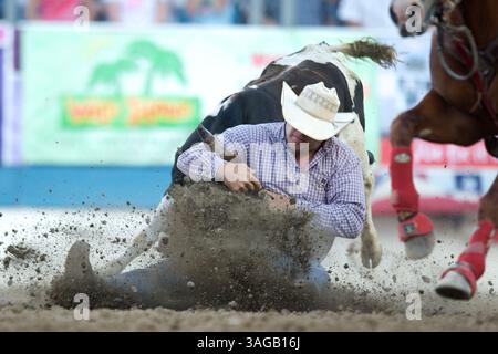 21 juin 2012 - Reno, Nevada, États-Unis - le lutteur Steer Jacob Talley de Keatchie, LOUISIANE, participe au Rodeo de Reno à Reno, Nevada, Nevada, États-Unis. (Crédit image : © Matt Cohen/ZUMAPRESS.com) Banque D'Images