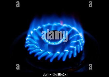 Un brûleur de cuisinière à gaz avec une flamme bleue brillante, incandescent contre un fond sombre un brûleur de cuisinière à gaz avec une flamme bleue brillante, incandescent contre un fond sombre Banque D'Images