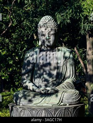 Statue de Bouddha au temple Senso-ji à Tokyo, Japon, est assis dans la méditation tranquille, entouré d'une végétation luxuriante. Les ombres des arbres créent une atmosphère sereine et sp Banque D'Images