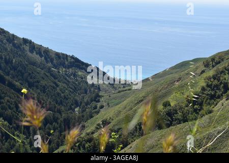 Le littoral de Big sur offre une beauté spectaculaire et accidentée, avec des plages magnifiques entre des falaises imposantes et le vaste océan Pacifique. Banque D'Images