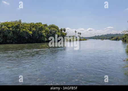 Vue panoramique sur la rivière Iguazu dans le parc national d'Iguazu à Misiones, Argentine. Banque D'Images