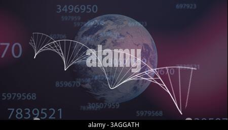 Image d'un brin d'ADN 3D tournant sur le globe et changeant de nombre Banque D'Images