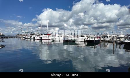 Miami, Floride, États-Unis - 19 juin 2024 : yacht à moteur de luxe dans la baie de la marina de mer. Yacht en navigation. Bateau de luxe privé à Miami Beach. Bateau d'été Banque D'Images